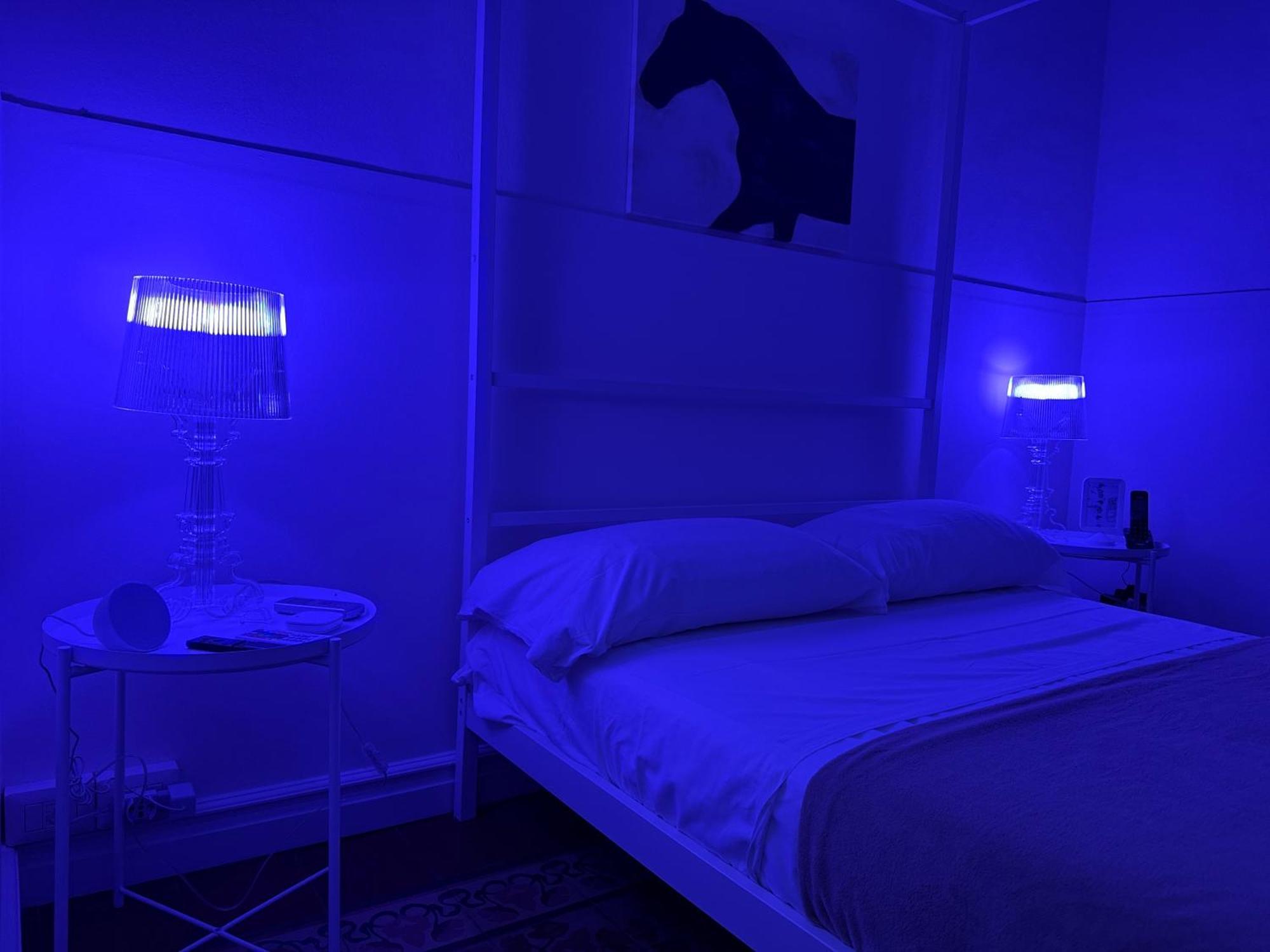 W Like On Hert Of Center Appartement